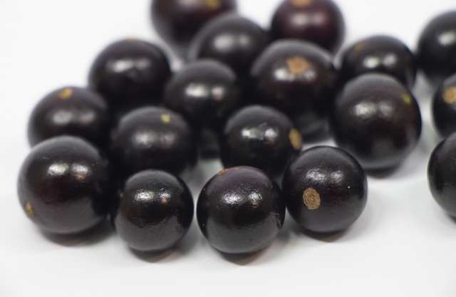 Harvested Jabuticaba fruit