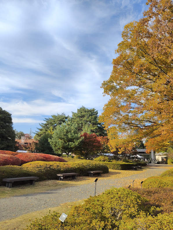 神代植物公園の秋の紅葉風景。落ち着いた静かな散策路