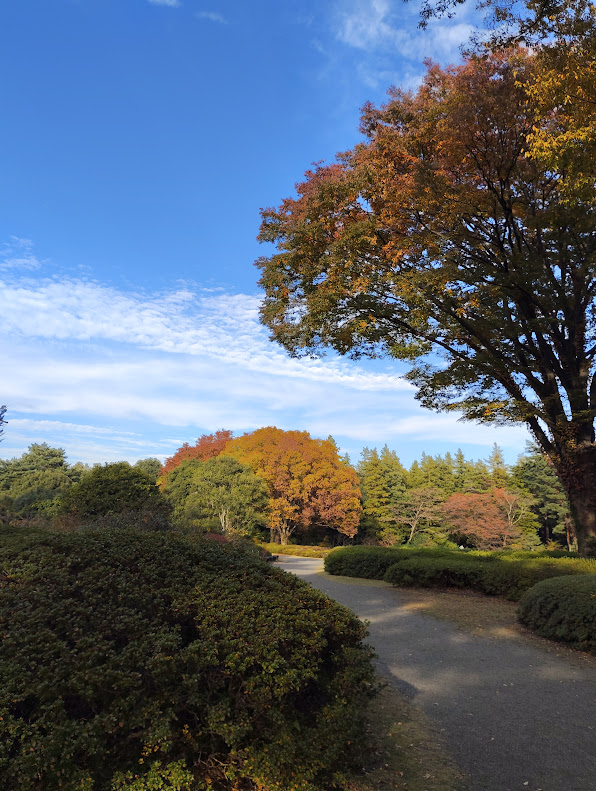 神代植物公園の園内全景と落ち着いた散策環境