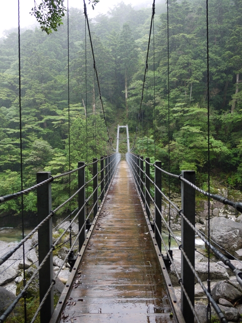 雨の日の屋久島
