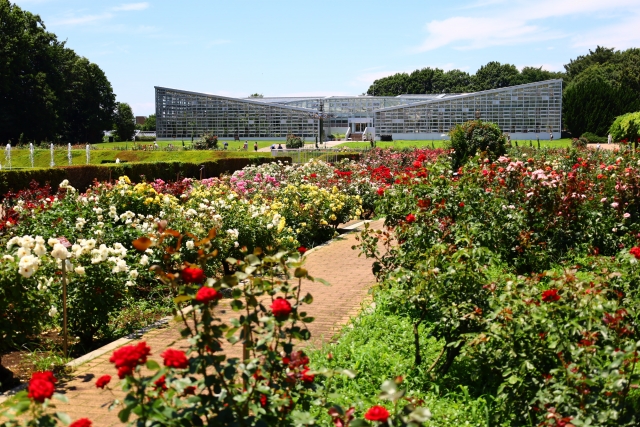 j神代植物公園温室