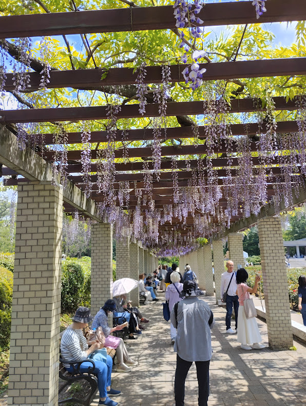 神代植物公園でランチを楽しむ来園者