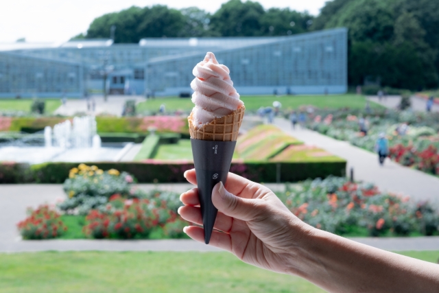 神代植物公園もソフトクリーム、