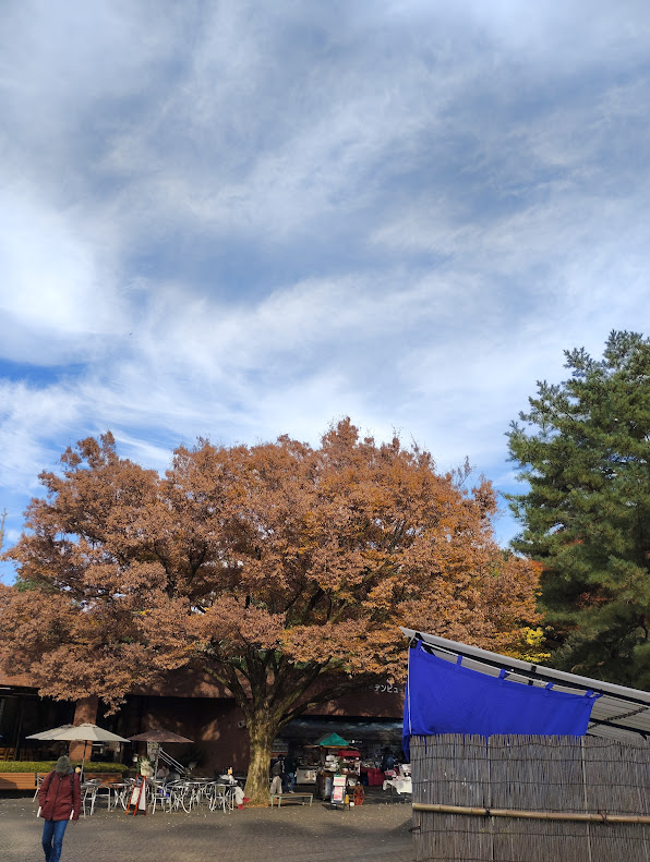深代植物公園の秋