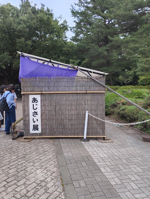 神代植物公園野あじさい展示場