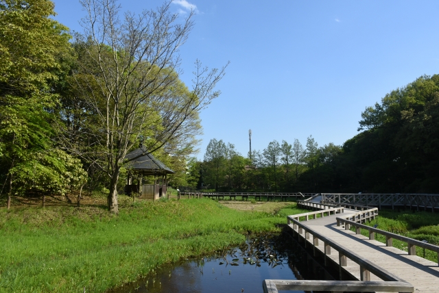 神代植物公園の木道