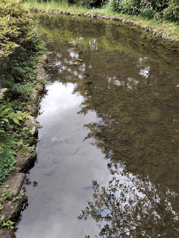 神代植物公園野小川